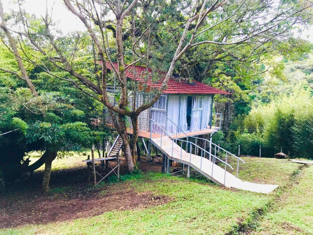 Cabana Treehouse Mountain View San Isidro  Екстер'єр фото